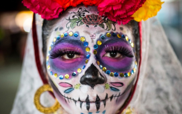 TravellerNG10 TravellerNG10