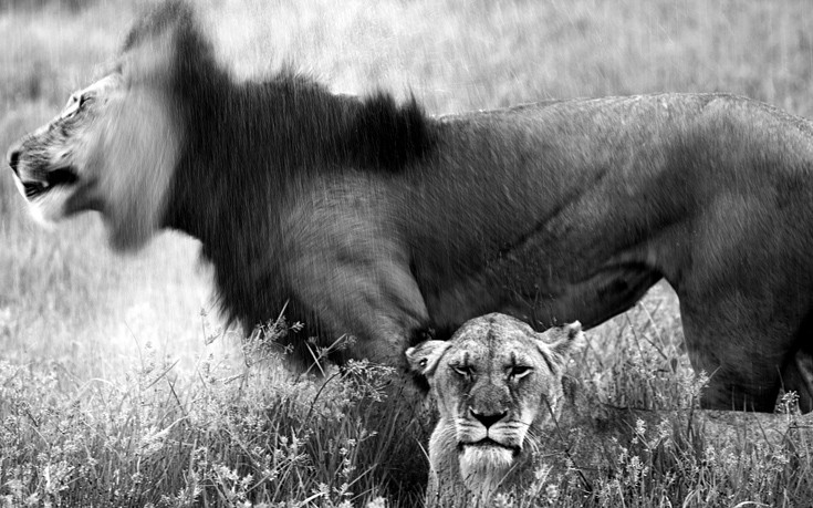 TravellerNG3 TravellerNG3