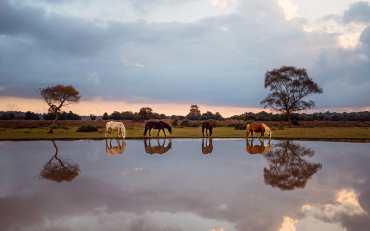 TravellerNG7 TravellerNG7