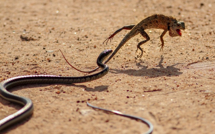 TravellerNG9 TravellerNG9