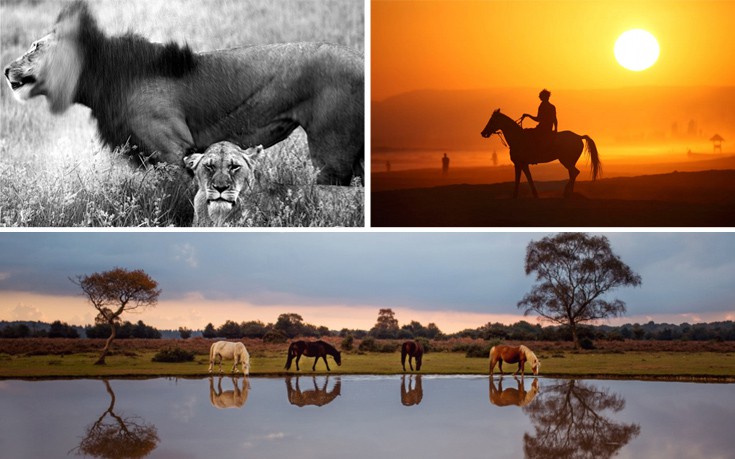 Το ανεξάντλητο καλειδοσκόπιο της Γης στον φακό