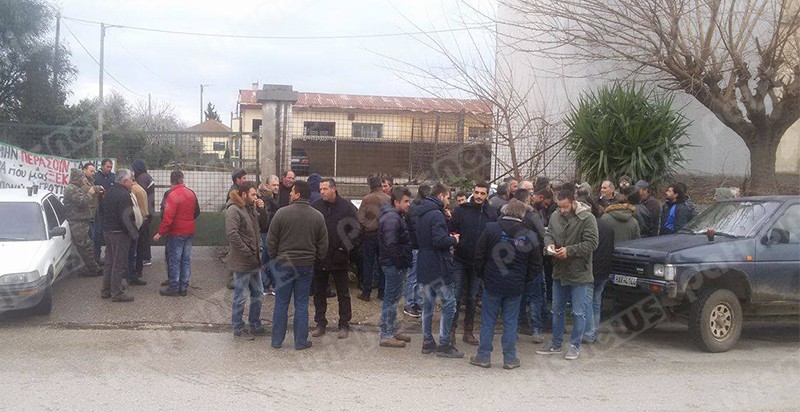 agrotes_das2 agrotes_das2