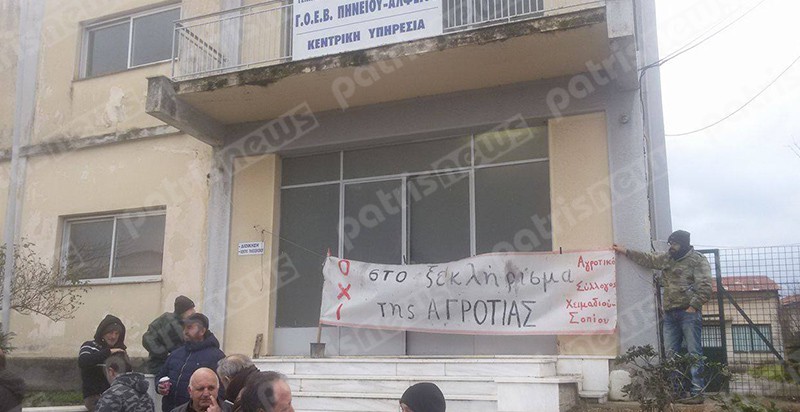 agrotes_das4 agrotes_das4