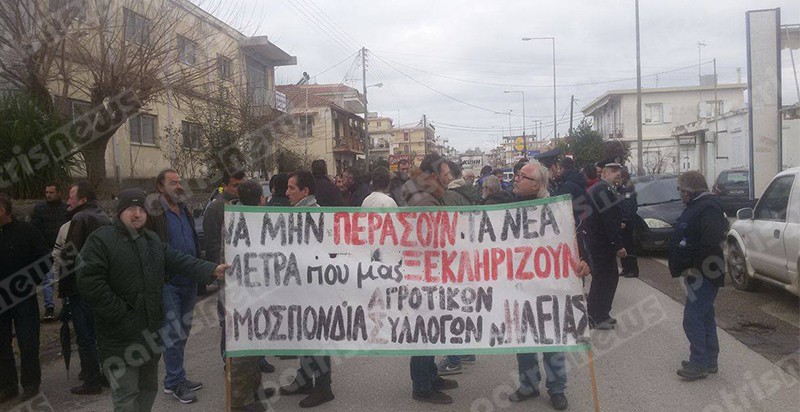 agrotes_das49 agrotes_das49