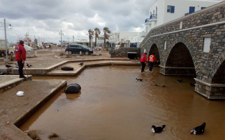 antiapsda3 antiapsda3