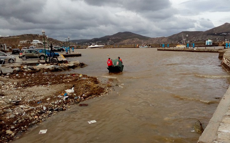 antiapsda6 antiapsda6