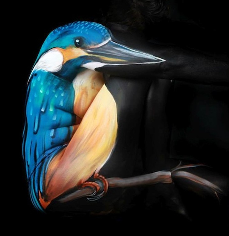 bdpnknit10 bdpnknit10