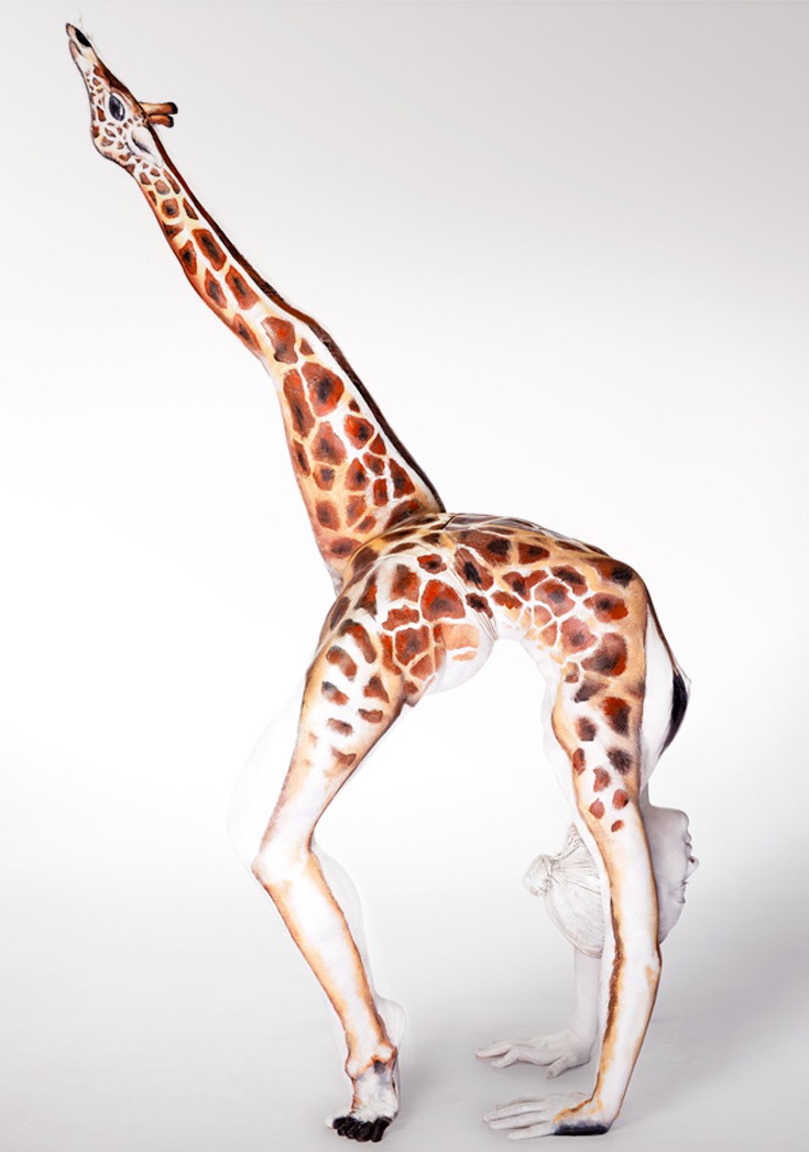 bdpnknit11 bdpnknit11