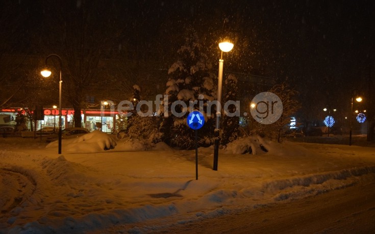 flwrinaxionia1 flwrinaxionia1