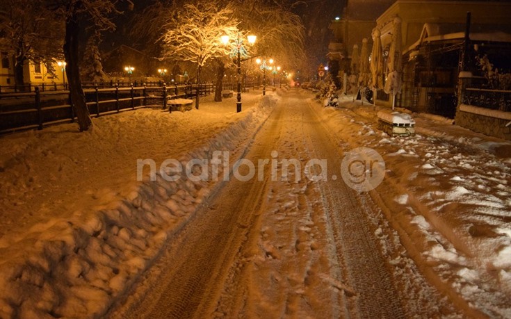 flwrinaxionia10 flwrinaxionia10