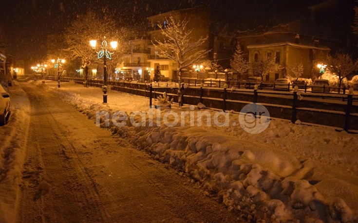 flwrinaxionia11 flwrinaxionia11