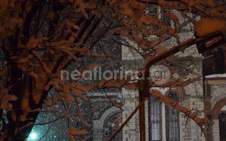 flwrinaxionia12 flwrinaxionia12