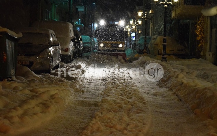 flwrinaxionia13 flwrinaxionia13