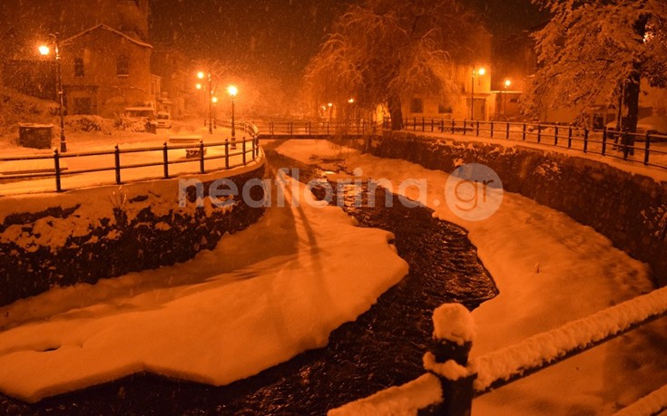 flwrinaxionia14 flwrinaxionia14