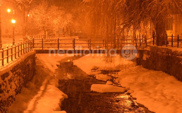 flwrinaxionia15 flwrinaxionia15