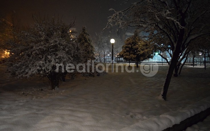 flwrinaxionia17 flwrinaxionia17