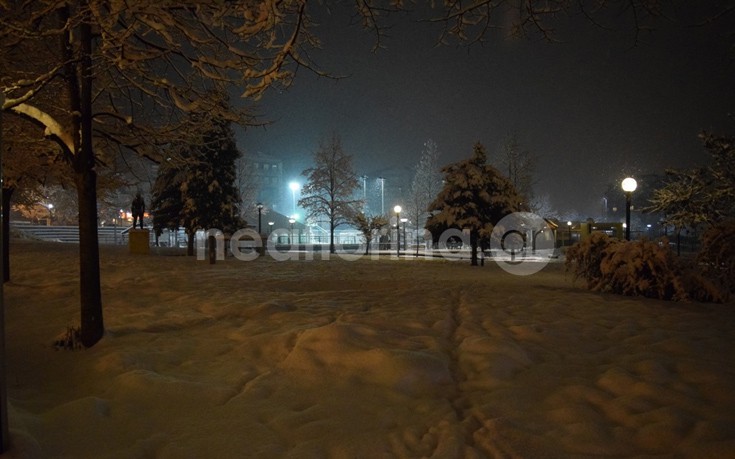 flwrinaxionia18 flwrinaxionia18