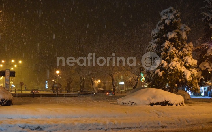 flwrinaxionia2 flwrinaxionia2