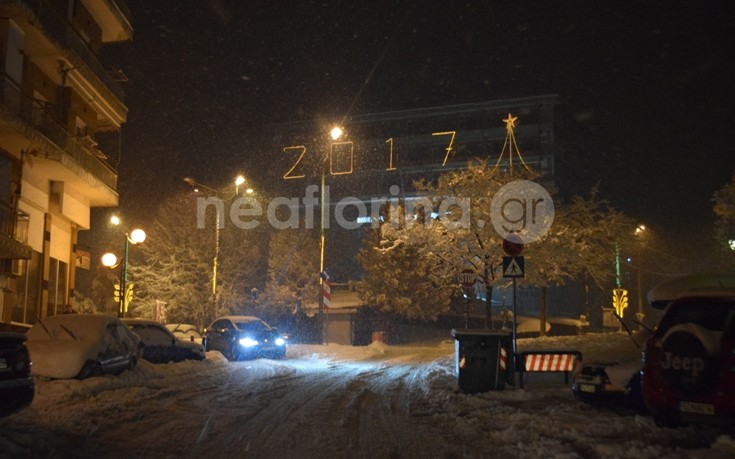 flwrinaxionia20 flwrinaxionia20