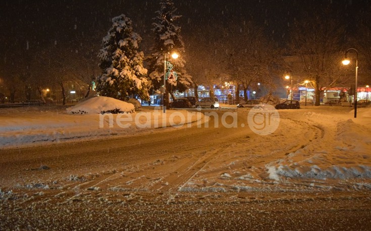 flwrinaxionia3 flwrinaxionia3