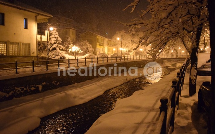 flwrinaxionia4 flwrinaxionia4