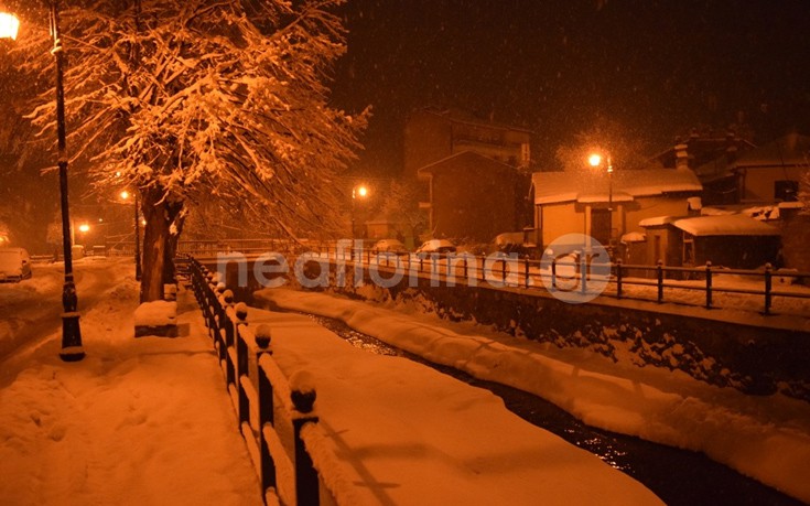 flwrinaxionia5 flwrinaxionia5