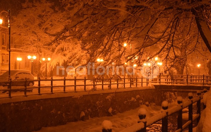 flwrinaxionia6 flwrinaxionia6