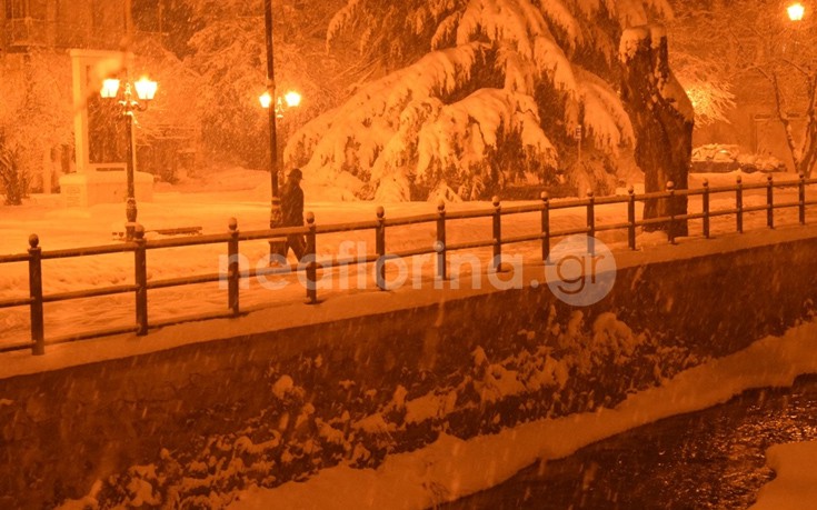 flwrinaxionia7 flwrinaxionia7