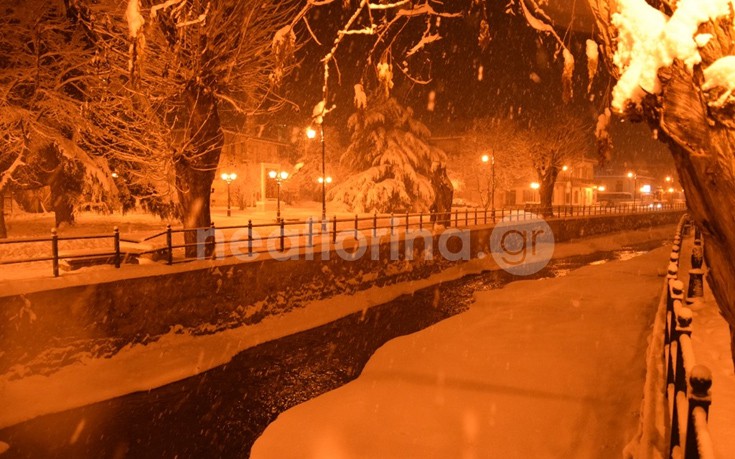 flwrinaxionia8 flwrinaxionia8