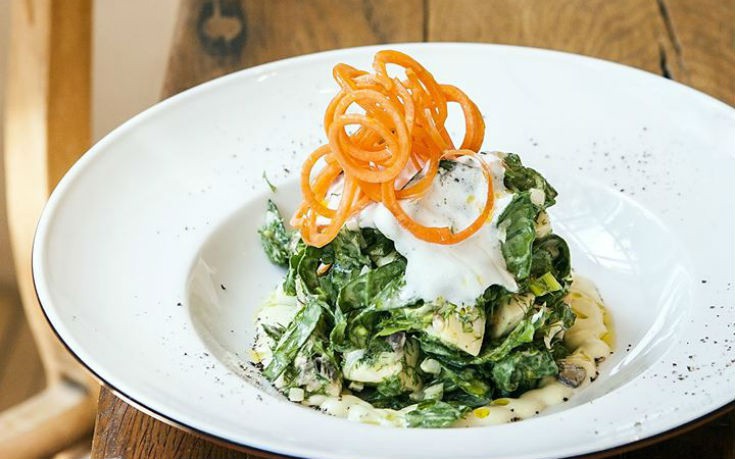 gi_1_edited gi_1_edited