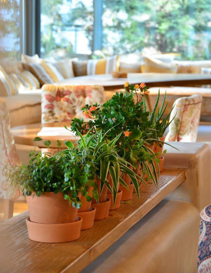 gi_5_edited gi_5_edited