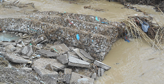 gourlesaS_12 gourlesaS_12