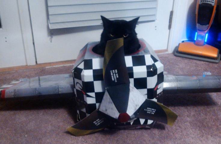 gtcaspit10 gtcaspit10