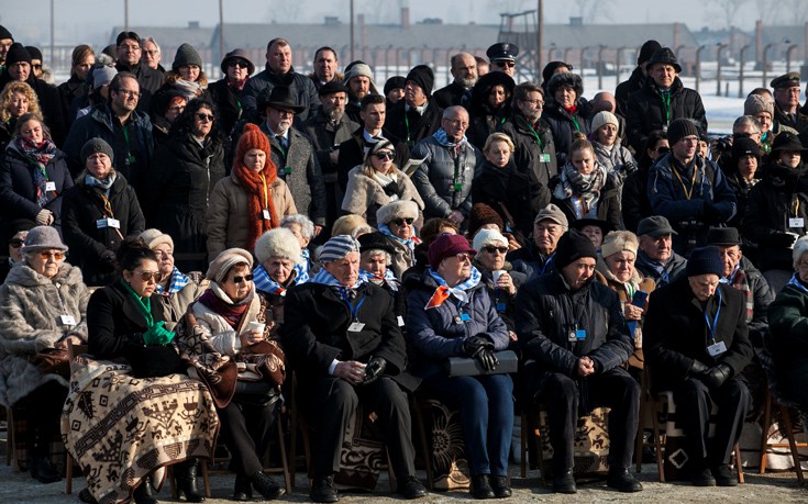 hlmcatwli10 hlmcatwli10