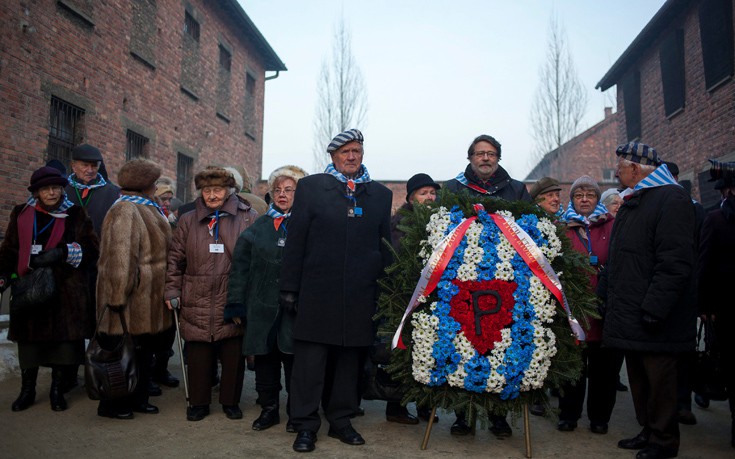 hlmcatwli11 hlmcatwli11