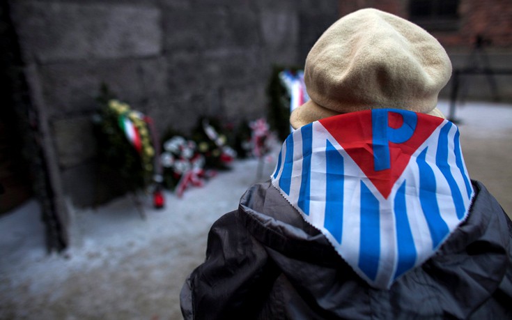 hlmcatwli12 hlmcatwli12