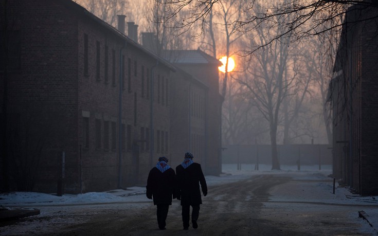 hlmcatwli2 hlmcatwli2