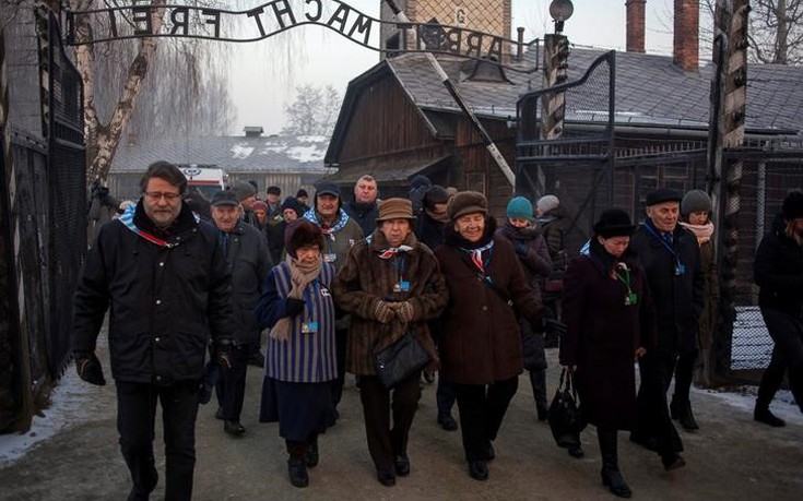 hlmcatwli3 hlmcatwli3