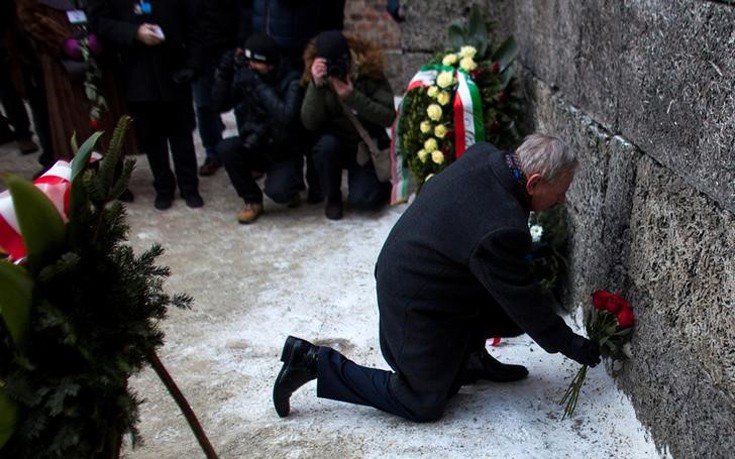 hlmcatwli4 hlmcatwli4