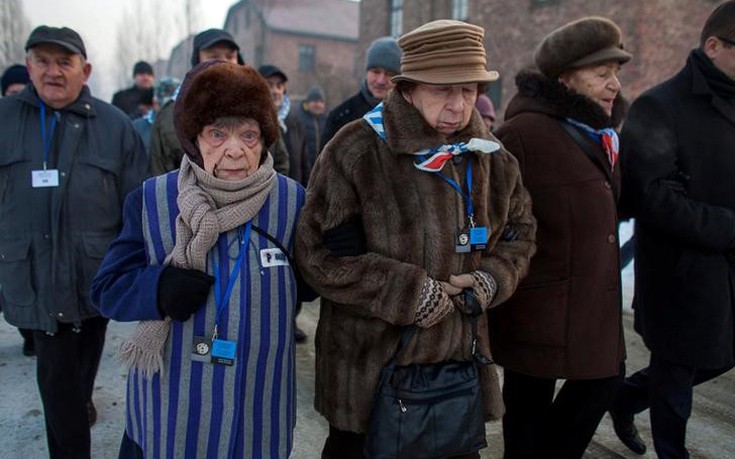 hlmcatwli5 hlmcatwli5