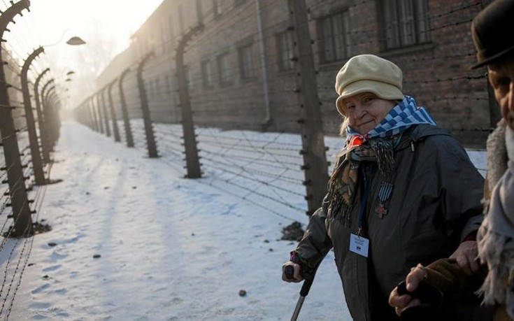 hlmcatwli6 hlmcatwli6