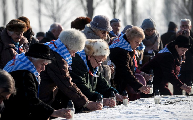 hlmcatwli7 hlmcatwli7