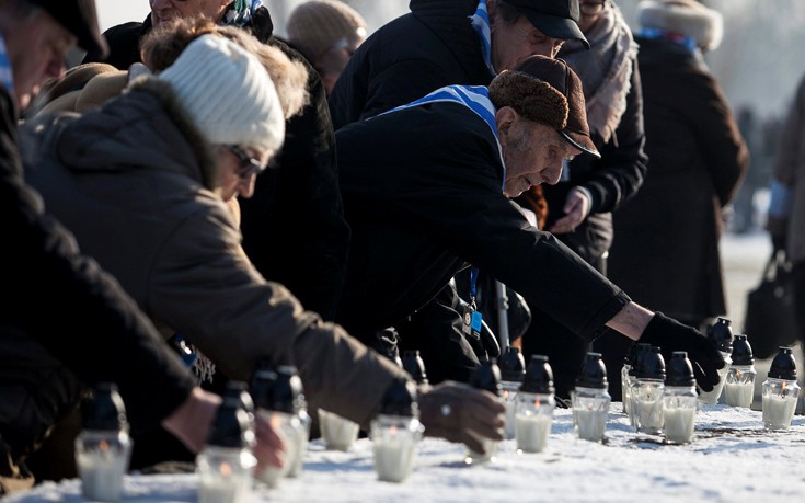 hlmcatwli8 hlmcatwli8