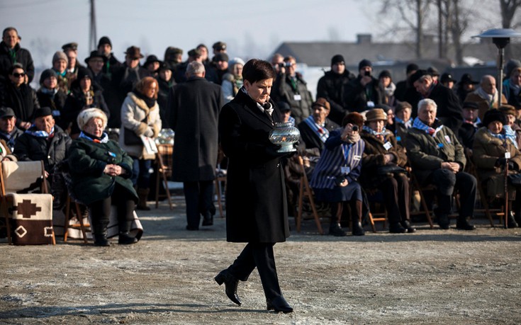 hlmcatwli9 hlmcatwli9