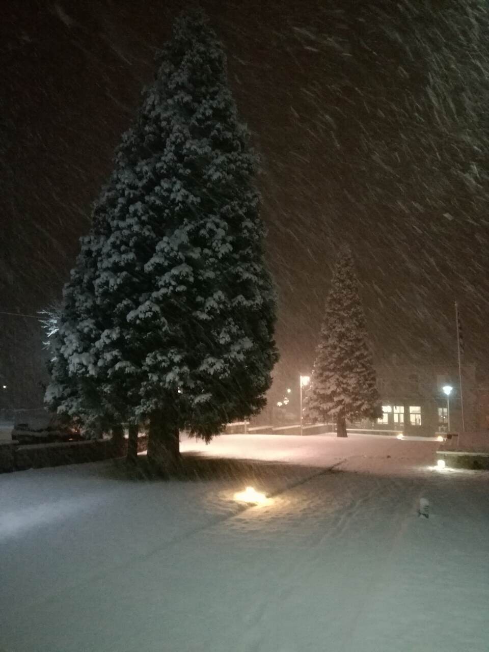 image-0-02-05-232e6aa4a26d4f35f4672b0590161df7ae51f97c08c9e8a8707cf8a2c4339b6f-V