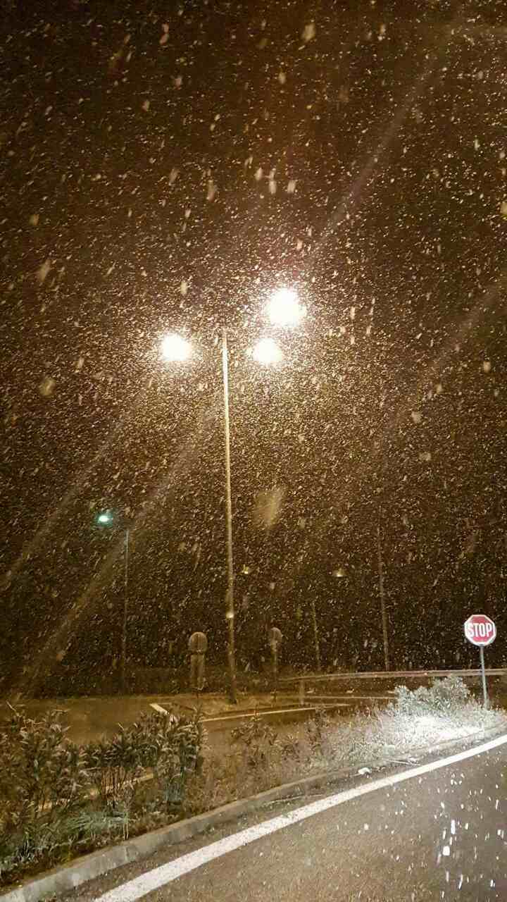 image-0-02-05-8bc9d4f112443349f3e173e4e8b5b8077c8697f622583fa8e16e92b75ba2cf4c-V