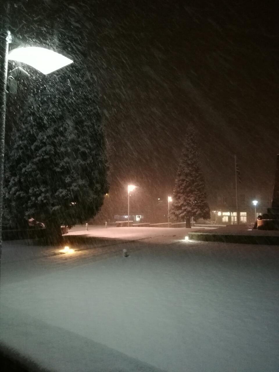 image-0-02-05-b44740f09d8e3cefc5ff3263c8effe690d37b8b9d7b9ee8731f33f7e36e84a8b-V