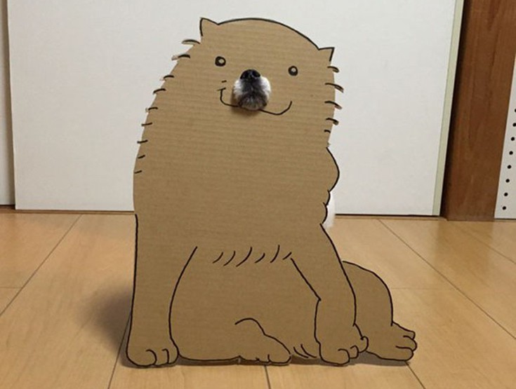 japsdoansdog5 japsdoansdog5