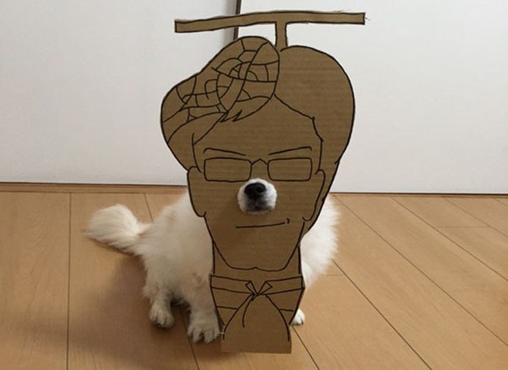 japsdoansdog9 japsdoansdog9