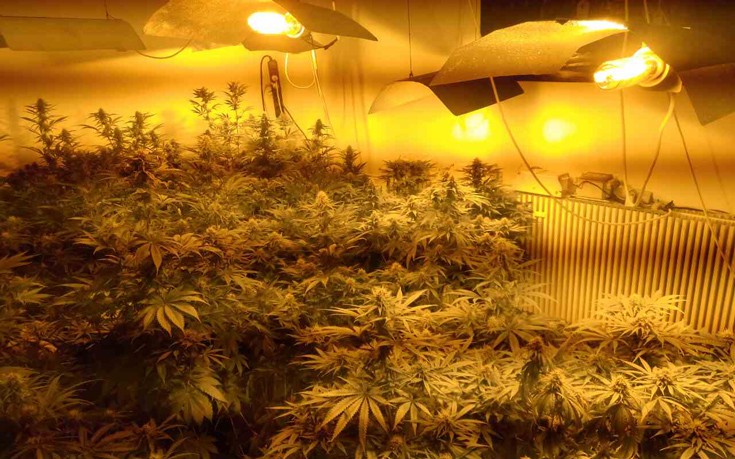 kansdmam10 kansdmam10